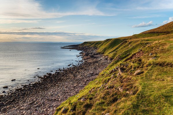What Are the Essential Elements for a Regency-Style Home Library?