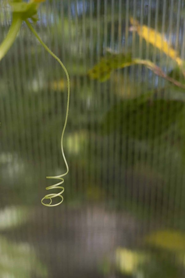 How Do Paralympic Athletes Adapt Training for Biomechanical Efficiency in Wheelchair Racing?