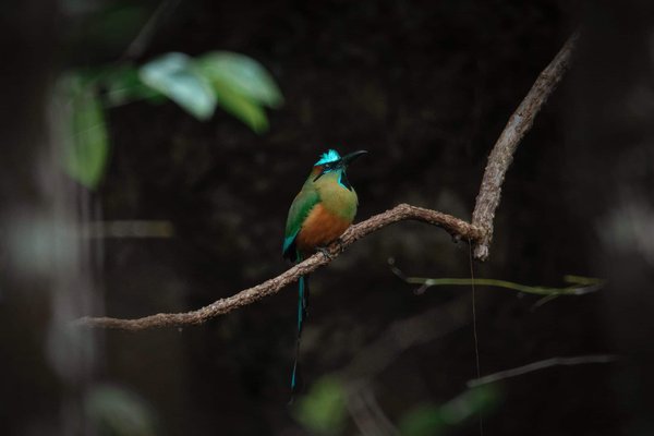 Can Aqua Aerobics Provide a Safe Exercise Alternative for Pregnant Women?